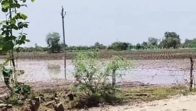खरगौन: इंदौर-जलूद परियोजना की पाइप लाइन फिर फूटी खेतों में घुसा पानी इंदौर में हो सकती है पानी की किल्लत