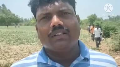 कोल: थाना सासनी गेट क्षेत्र में गाड़ी खड़ी करने को लेकर पड़ोसियों के बीच हुआ झगड़ा, गंभीर रूप से घायल हुआ एक व्यक्ति