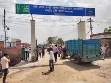 मेड़ता: कृषि उपज मंडी मेड़ता सिटी में विभिन्न कृषि जिंसों की हुई बंपर आवक,14500 रुपए प्रति क्विंटल में बिका ईसबगोल