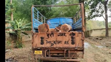 बानो: बानो के बांदु में अवैध लकड़ी लदा ट्रक वन विभाग ने किया जब्त,वन विभाग कारवाई में जुटी
