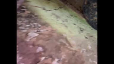 गोरखपुर: गोरखनाथ थाना क्षेत्र अंतर्गत बीती देर रात शार्ट सर्किट से लगी चचेरी बहनें व मां झुलसी