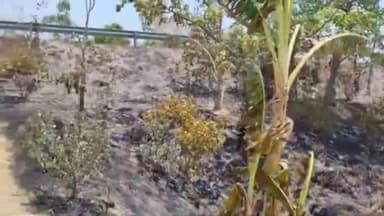 घाटमपुर: धरमपुर के पास झाड़ियां में लगी आग, आग की चपेट में आने से दर्जनों पेड़ पौधे जले