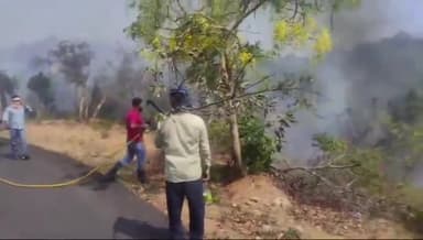 ਪਠਾਨਕੋਟ: ਪਿੰਡ ਖਰਾਸਾ ਭਰਾਲ ਦੇ ਜੰਗਲਾਂ ਵਿੱਚ ਲੱਗੀ ਭੰਗਰ ਅੱਗ ਮੌਕੇ ਤੇ ਪੁੱਜੀ ਫਾਇਰ ਬ੍ਰਿਗੇਡ ਦੀਆਂ ਗੱਡੀਆਂ