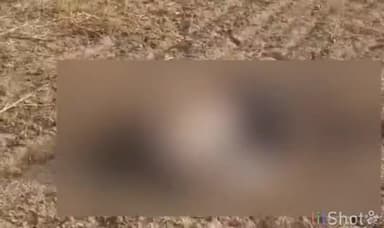 जालौन: ग्राम हथना बुजुर्ग में दो दिन पहले लापता हुए बुजुर्ग का संदेश हालत में पड़ा मिला शव मौके पर पहुंची पुलिस।