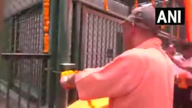 #उत्तर #प्रदेश के #मुख्यमंत्री #योगी #आदित्यनाथ ने #गोरखपुर #चिड़ियाघर में एक #शेर को उसके बाड़े में छोड़ा।