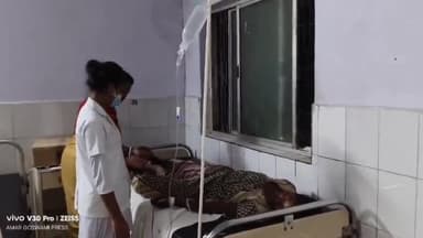 सेन्हा: सेन्हा मुर्की तोडार में सर्पदंश से एक महिला गंभीर,डॉ के. के मिश्रा ने बताय इलाज के बाद स्थिति सामान्य