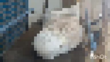 आगरा: साईं की तकिया स्थित जिला चिकित्सालय में एम्बुलेंस के इंतज़ार में 5 घंटे पड़ा रहा शव,वीडियो वायरल,मानवता हुई शर्मसार