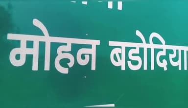 मोहन बड़ोदिया: मोहन बड़ोदिया कृषि उपज मंडी में 50 बोरी गेहूं की अवक हुई, 2450 क्विंटल बिका गेहूं