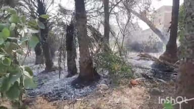 अजयगढ़: बड़ी फील्ड के पास अज्ञात कारणों के चलते खेत मे लगे पेड़ो में लगी आग