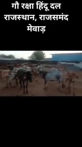 राजस्थान प्रदेश में गौशाला निर्माण कार्य तथा नंदी शाला निर्माण कार्य प्रारंभ करें,गौ रक्षा हिंदू दल राजस्थान #राजसमंद #मेवाड़
