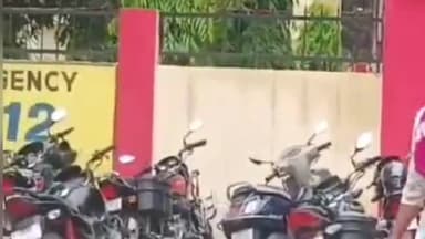 कसिया: शेखावानिया बुजुर्ग निवासी विवाहिता ने ससुरालियों पर लगाया पति को 'गायब' करने का आरोप, एसपी को दिया प्रार्थना पत्र