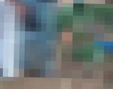 कैंपियरगंज: कैंपियरगंज थाना क्षेत्र अंतर्गत बलुआ निवासी युवक आम तोड़ने के लिए पेड़ पर चढ़ा की अचानक पैर फिसला और गिर गया हुई मौत