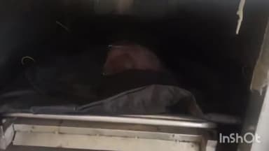 जलेसर: सिर मैं गहरी चोट के कारण हुई थी विवाहिता की मौत भाई ने हत्या के लगाए थे आरोप थाना क्षेत्र अवागढ़ का मामला