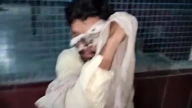 मुरादाबाद: मूंढापांडे थाना क्षेत्र में खेत पर काम कर रहे युवक के ऊपर गीदड़ ने अकेला पाकर,  हमला कर किया घायल