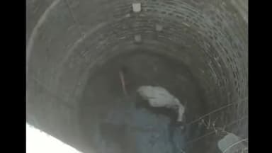 अमानगंज: झगरा ग्राम के सार्वजनिक कुएं में गिरी गाय समाजसेवियों की मदद से निकला गया बाहर