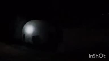 ब्यौहारी: कोठिया में दो हाथियों में मचाया उत्पात, वन विभाग ने बढ़ाई गश्त