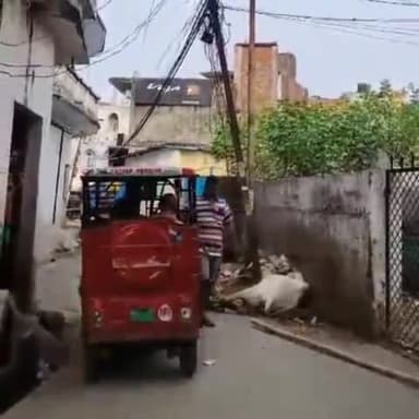 गोरखपुर: गोलघर स्थित काली मंदिर गली में बिजली के पोल में उतरा करंट, गाय की हुई मौत