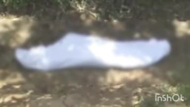 सिरोंज: कर्ज से परेशान होकर हाजीपुर निवासी युवक ने की आत्महत्या, आम के पेड़ पर लटका मिला शव