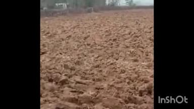 पन्ना: जिले में इस वर्ष 2 लाख 43 हजार हेक्टेयर भूमि में होगी खरीफ फसलों की बुआई, जिला कृषि अधिकारी ने दी जानकारी