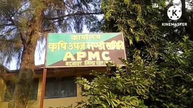 बदनावर: कृषि उपज मंडी बदनावर में बड़ी संख्या में अपनी उपज लेकर लेकर पहुंचे किसान; सोयाबीन, गेहूं व डालर चने की हुई बंपर आवक