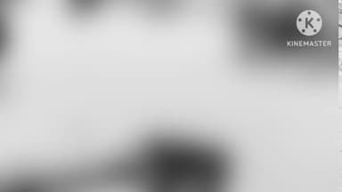 सिल्ली: सिल्ली में दो बाइक की टक्कर में दो लोग हुए घायल