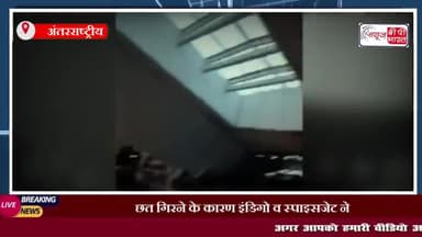 छत गिरने के कारण इंडिगो व स्पाइसजेट ने दिल्ली हवाई अड्डे के टर्मिनल-1 से सभी उड़ानें कीं रद
#दिल्ली #छत #इंडिगो