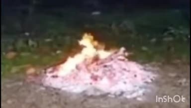 राघोगढ़: रुठियाई में धरनावदा थाना पुलिस ने राष्ट्रीय पक्षी मोर का शिकार करने वाले 2 लोग कार सहित पकड़े, 3 मृत मोर के शव किए बरामद