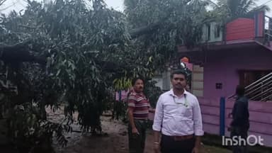 ಶಿವಮೊಗ್ಗ: ಹೊಸನಗರ ತಾಲೂಕಿನಾದ್ಯಂತ ಭಾರಿ ಮಳೆ, ಮರ ಬಿದ್ದು ಲಕ್ಷಾಂತರ ರೂಪಾಯಿ ಹಾನಿ