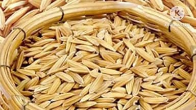 रातू: रातू प्रखंड के संयोजक झामुमो नेता ने कहा सरकार के द्वारा सब्सिडी में मिलने वाली धान बीज का वितरण शुरू नहीं किया गया