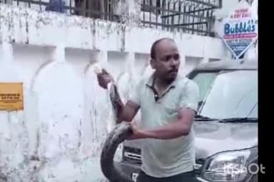 हरिद्वार: टिहरी विस्थापित कॉलोनी में निकला विशालकाय अजगर, वन विभाग ने किया रेस्क्यू