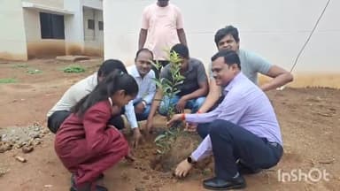 फरसगांव: पेड़ लगाओ पर्यावरण बचाओ अभियान जारी,जन्मदिवस पर एसडीएम ने आवाशीय परिसर में किया पौधरोपण, जागरूक कर दिया संदेश