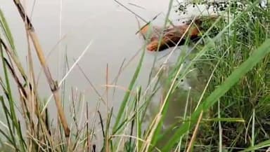 घाटमपुर: रामगंगा नहर में शव बहने की मिली फर्जी सूचना, पुलिस ने राहत के लिए सांस