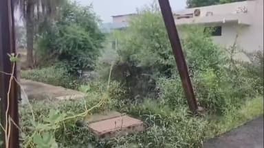 विदिशा नगर: मुखर्जी नगर सेक्टर बी में जल भराव से रहवासी परेशान, नगर पालिका में भी कई बार की शिकायत