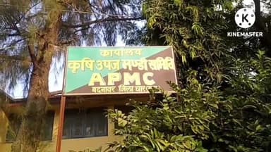 बदनावर: बदनावर कृषि उपज मंडी में,सोयाबीन की हुई, बंपर आवक।