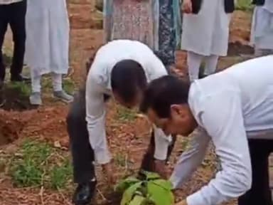 बड़ौद: पंच-ज“ अभियान अंतर्गत अगर मालवा के जिला न्यायालय परिसर में किया पौधारोपण न्यायाधीश समेत कर्मचारी रहे उपस्थित।