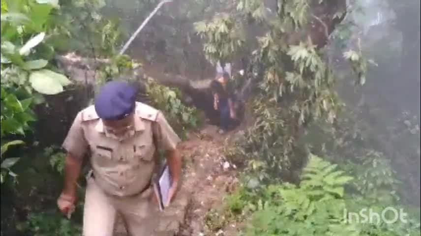 রংলী রংলীয়ত: মংপুতে সিঙ্কোনা প্লান্টেশনে কাজ করতে গিয়ে গাছ পড়ে মৃত্যু ১ শ্রমিকের