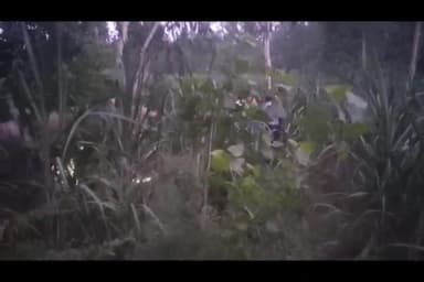 बरेली: क्षेत्र शाही में सीरियल किलर को बेनकाब करेगी एडीजी की स्पेशल 7 टीम, आईजी समेत अफसरों ने लिया शाही का जायजा