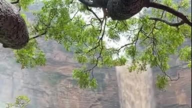 तिलौथू: तुतला भवानी वॉटरफॉल में 8 महीने बाद गिरना शुरू हुआ पानी, पर्यटकों की जुटने लगी भीड़