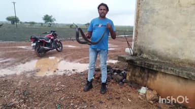 सिरोंज: ग्राम पंचायत बगरोदा स्तिथ वेयरहाउस से सर्प मित्र परवेज ने जहरीले सर्प का किया रेस्क्यू,सुरक्षित जंगल में छोड़ा