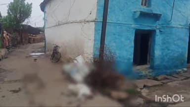 बटियागढ़: फतेहपुर में बिजली के पोल में करंट आने से एक मवेशी की हुई मौत