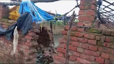 घाटमपुर: सेन पश्चिम पारा क्षेत्र के नदिया किनारे देर रात अज्ञात चोरों ने चोरी की घटना को दिया अंजाम,23 सुअर किए चोरी,की शिकायत