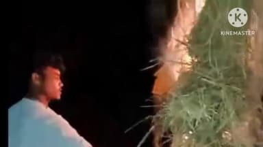 बानो: बानो के हुरदा सहित अन्य क्षेत्रों में हिंदू समुदाय के लोगों ने जलाया राहुल गांधी का पुतला,हिंदू जागरण मंच एवं बीजेपी के