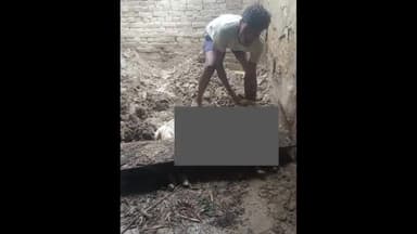 भोगांव: थाना बेवर के गांव किशनपुर गढ़िया में बारिश के चलते कच्चा मकान गिरा, बकरी की दबकर हुई मौत, पीड़ित ने की मुआवजे की मांग