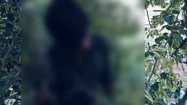 सीकर: बावड़ी गांव में पेड़ से लटका हुआ शव मिलने पर फैली सनसनी पुलिस जुटी मामले की जांच में