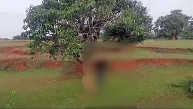 कोलेबिरा: पाहन टोली में फांसी लगाकर एक व्यक्ति ने की आत्महत्या, पुलिस अग्रतर कार्रवाई में जुटी