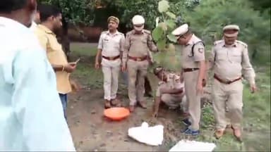 बीकापुर: वन महोत्सव कार्यक्रम के तहत गयासपुर में नवग्रह वाटिका में किया गया वृक्षारोपण, BJP जिलाध्यक्ष रहे मुख्य अतिथि