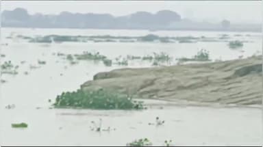 कैंपियरगंज: कैंपियरगंज पीपीगंज जंगल कौड़िया के बगल से होकर गुजरने वाली राप्ती नदी का नेपाल के पानी छोड़े जाने के बाद बढ़ा जलस्तर