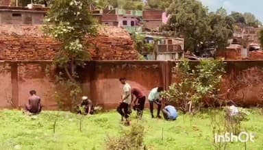 राघोगढ़: वार्ड 5 लालपुरा मुक्तिधाम परिसर में राघोगढ़ तहसीलदार अधिकारी कर्मचारी एवं आम जन ने किया पौधारोपण