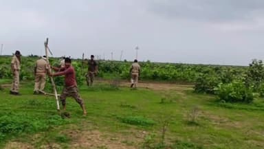 शाहबाद: सीताबाडी मौजा कलोनियां में वनविभाग ने 45 बीघा भूमि से हटाया अतिक्रमण