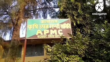 बदनावर: बदनावर कृषि उपज मंडी में ऊपज ,लेकर पहुंचे क्षेत्र के किसान ,सोयाबीन ,गेहूं व डालर चने की उपज की हुई आवक।